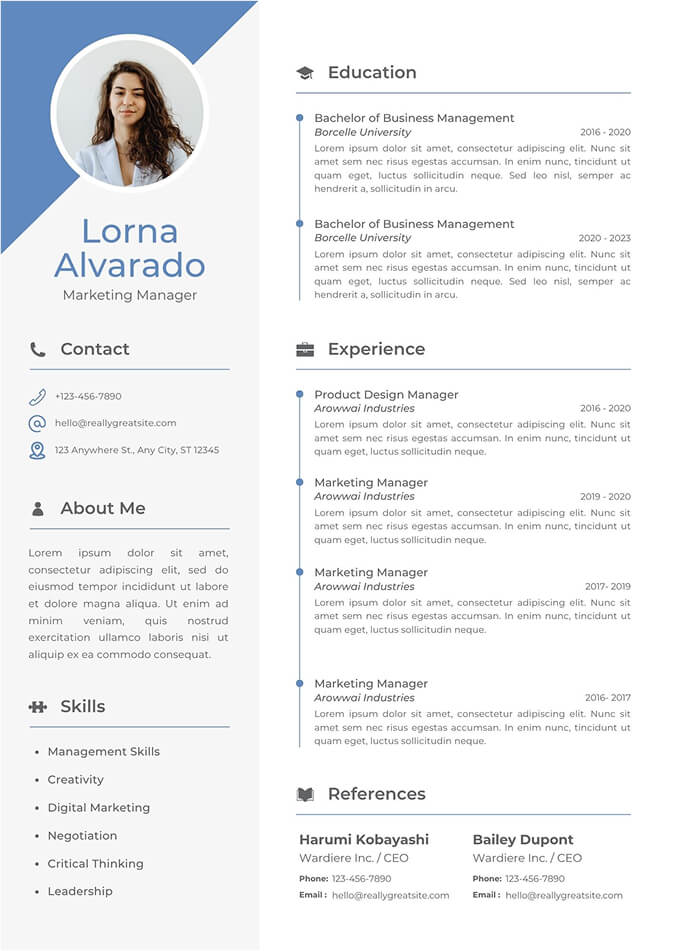 Elegant Resume with Icon Sections