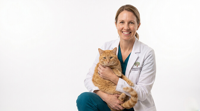 Should You Include a Pet in Your Veterinarian Headshot
