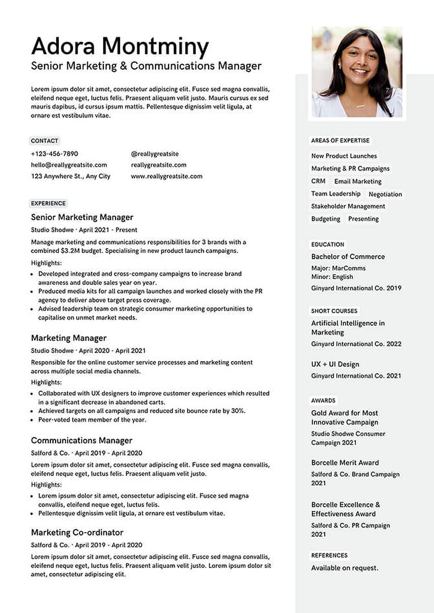 Minimal CV photo example: a clean single-column CV with a small rectangular headshot of a smiling woman in a white top placed in the top-right corner above a grey areas-of-expertise sidebar, with the name and career summary on the left.