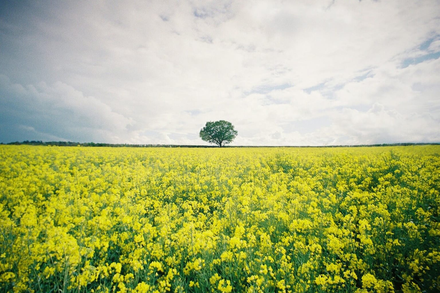 List of headshot photographers in hertfordshire