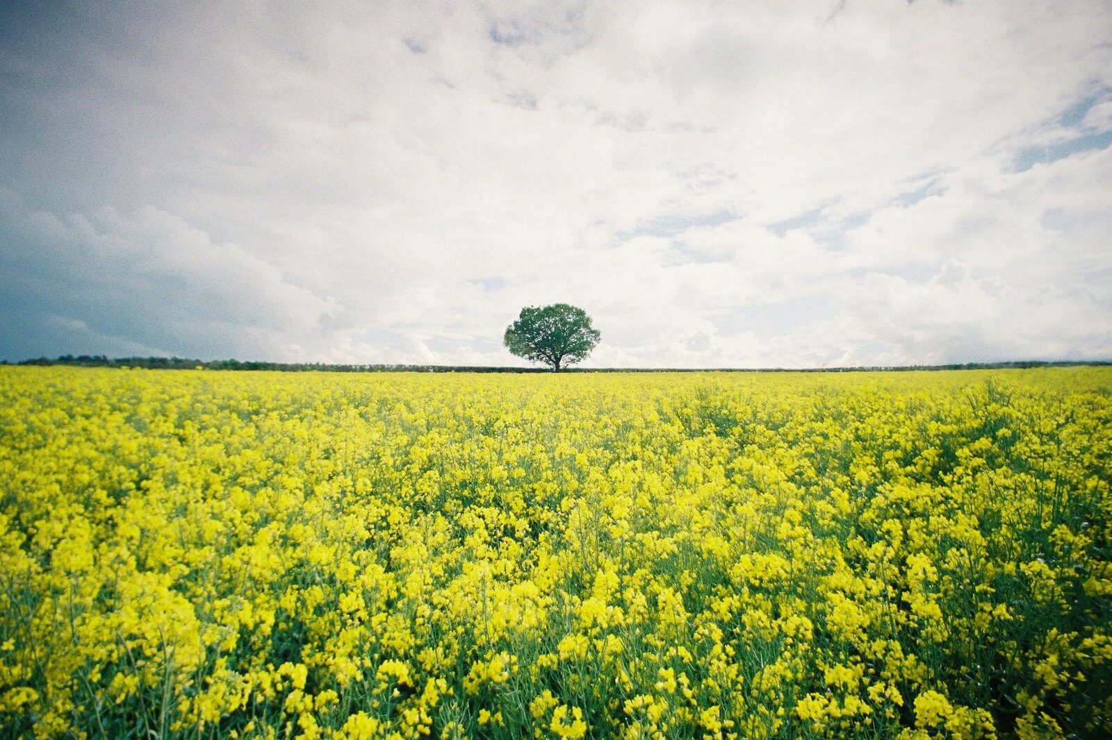 List of headshot photographers in hertfordshire
