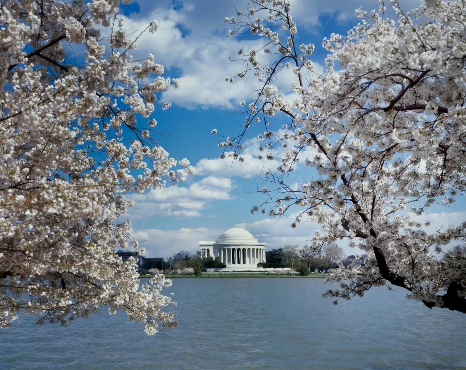 List of headshot photographers in washington-dc