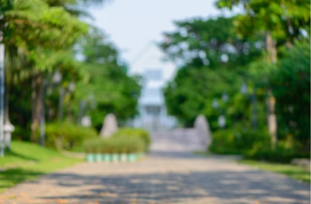 Natural outdoor pathway background with lush green trees and natural landscape